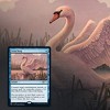 Magic The Gathering Magic: The Gathering Secret Lair: MTG Summer Superdrop Ornithological Studies - 3 of 4