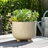 Ceramic Ceramic Planter with Textured Botanical Design, Footed Garden Pot for Home & Outdoor Decor - 5" Cream - 3 of 4