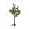 Pure Garden Artificial Olive Tree - 6 ft Potted Faux Plant with Fruit for Home or Office Decor - Natural Looking Polyester Leaves - image 4 of 4