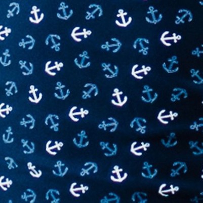 navy anchors