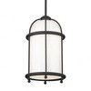 Kichler Lighting Topiary 1 - Light Pendant in  Character Bronze - 4 of 4