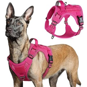 rabbitgoo Tactical Dog Harness for Large Dogs,  Vest with Handle & Molle, Easy Control for Training Walking, Adjustable Reflective Straps, Rose Red, L - 1 of 1