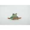 Collectible Wildlife Gifts | Frog, Red-Eyed Tree Frog, Museum Quality, Hand Painted, Rubber Amphibian,  Model,  Toy, Gift, 1 1/2"  CH496 BB154 - 4 of 4