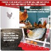 Chicken Nesting Box, 10/8/6 Hole Chicken Nesting Box for Hens - Heavy Duty Laying Box with Egg Collection System, Easy Clean & Tool-Free Assembly - 4 of 4