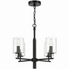 Craftmade Lighting Hailie 4 - Light Chandelier in  Flat Black - 4 of 4
