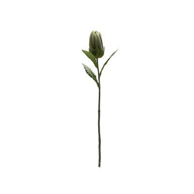 Green Polyester Protea Leaf Stem Set of 6