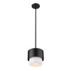 Z-Lite Counterpoint 1 - Light Pendant in  Matte Black - 3 of 4