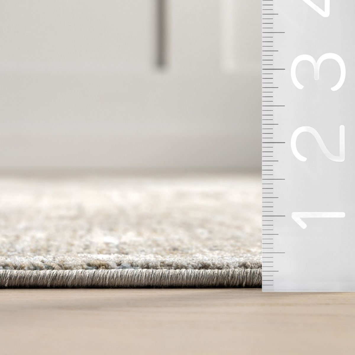 Nuloom Griselda Medallion Fringe Indoor Area Rug - thumbnail 3