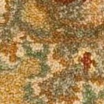 light brown/grey