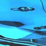 1 cat fountain + 8 filters + 8 sponges