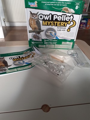 The Magnifying Glass: Owl Pellets