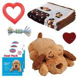 Snuggle Puppy Comfortable Beginnings New Puppy Starter Kit - Blue - 4ct
