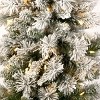 National Tree Company Pre-Lit Pencil Snowy Methow Hinged Artificial Christmas Entrance Tree Warm White LED Lights - 3 of 3