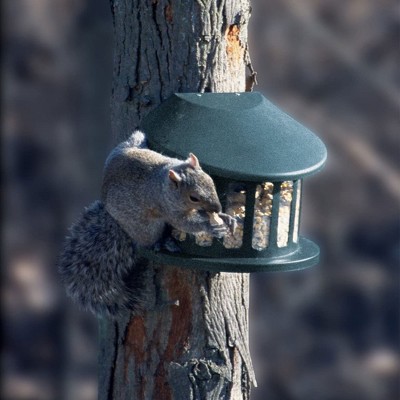 Green Powder-Coated Alloy Steel Hanging Squirrel Feeder