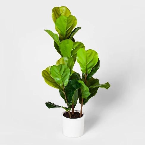 Faux or Fo Real? Where to Find Realistic Faux Plants!