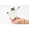 Collectible Wildlife Gifts | Squirrel, Flying Squirrel, Museum Quality, Hand Painted, Rubber Mammal, Realistic Toy Model, Gift,  6 1/2"   CH233 BB120 - 3 of 4