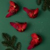 Northlight 4ct Cardinal Clip-On Bird Figure Christmas Ornament Set 3.25" - Red - 2 of 4