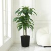 5-6ft UV & Sunproof Artificial Dracaena Tree for Indoor/Outdoor - Faux Silk Plant in Tall Planter, Tall Faux Tree for Home & Garden Decor - 2 of 4