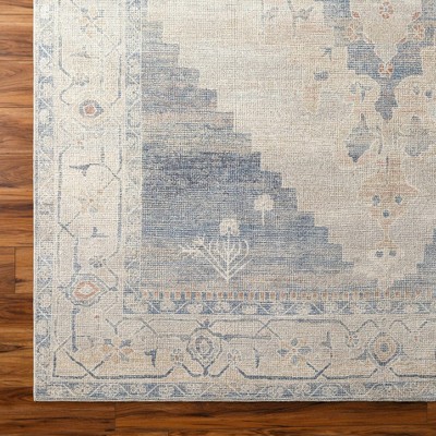 Hauteloom Luca Medallion Pewter Area Rug