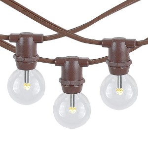 Novelty Lights 100 Feet Heavy Duty Light Strings and Sets with 100 In-Line E12 Sockets, Brown Wire PVC Stringer, 12" Spacing, Non-Connectable - 1 of 4