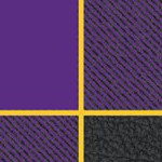 louisiana state university tigers