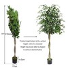 Artificial Plant Tree , Fake Ficus Tree With Silk Realistic Leaves and Lifelike Trunk,Faux Ficus Tree With Pot for Home Decor Indoor, 1 Pack - 2 of 4