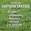 Roundup for Lawns Southern Herbicide With Wand - 1 gal: Ready-to-Use, Controls Unwanted Vegetation, 400 sq ft Coverage - 4 of 4