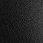 michigan state spartans