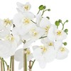 Dahlia Studios Belvois White Orchid 22" High Faux Flowers in Ceramic Pot - 3 of 4
