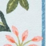 light blue/rust