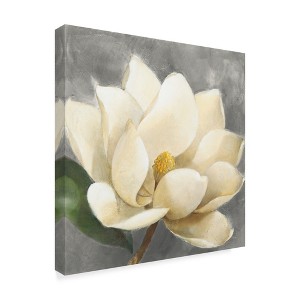 Albena Hristova 'Magnolia Blossom on Gray' Canvas Art - 1 of 3