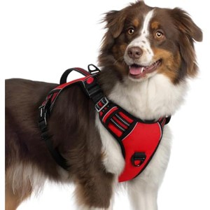 rabbitgoo Dog Harness for Large Dogs, , Easy Walking Harness with 2 Leash Clips, Red, XL - 1 of 1
