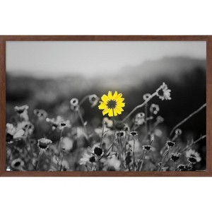 Trends International Joseph S Giacalone - A Bit Of Yellow Framed Wall Poster Prints - 1 of 4