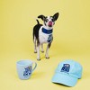 Pavilion Gift Company - Oh My Dog! - 7" x 5" Canvas Slip on Pet Bandana - Pet Apparel Accessories - 3 of 4