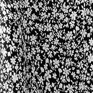 black floral