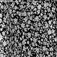 black floral