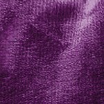 violet purple