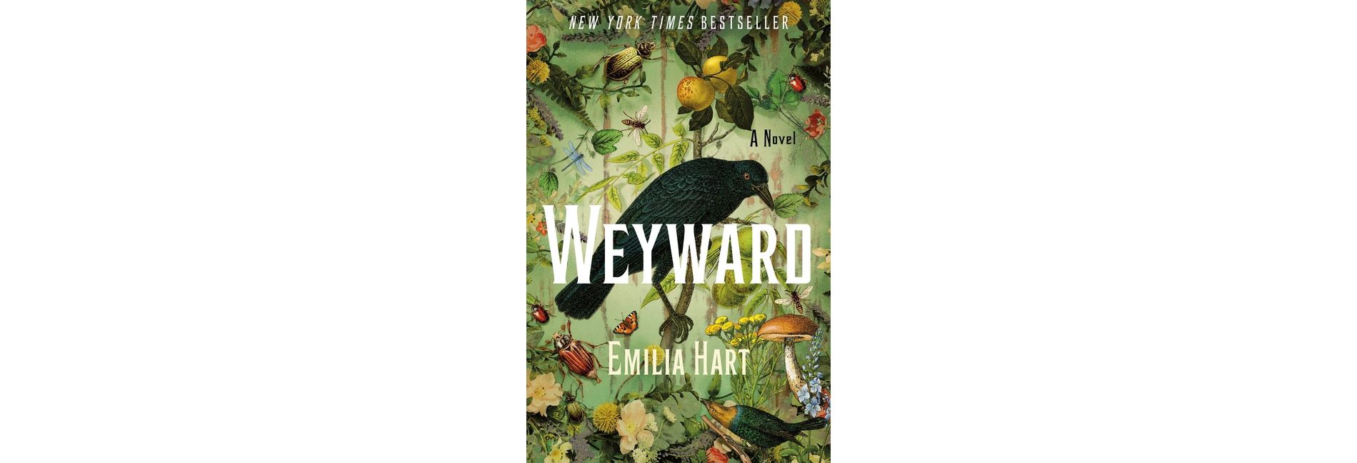 Weyward - by  Emilia Hart (Hardcover)