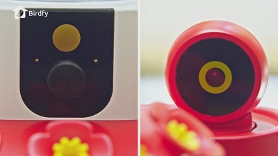 Birdfy White and Red Smart Hummingbird Feeder with Dual Cameras