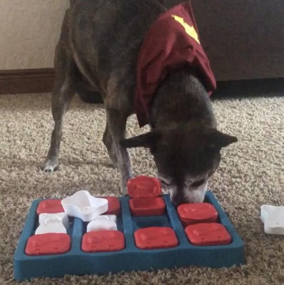Nina Ottosson Dog Puzzle Toy Interactive Treat Dispenser, Dog Brick -  Modern Pets