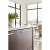 Amerock Monument Cabinet or Drawer Pull - 2 of 4