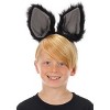 HalloweenCostumes.com  Women  Cat Ears Deluxe Headband, Black/Gray - 3 of 4