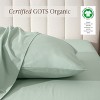 260 Thread Count Organic Cotton Percale Pillowcase Set by Bare Home - 2 of 4
