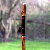 Brazos Free Form Safari Wood Walking Stick 55 Inch Height - 3 of 3