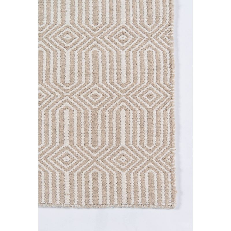 Newton Holden Hand Woven Recycled Plastic Indoor/Outdoor Rug Beige - Erin Gates by Momeni, 4 of 10