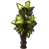 Nearly Natural Golden Dieffenbachia with Bamboo Planter - image 2 of 2