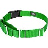 Country Brook Petz Heavy Duty Nylon Martingale Dog Collar with Deluxe Buckle - 30+ Vibrant Color Options - 4 of 4