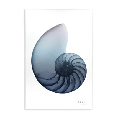 Stupell Industries Contemporary Nautilus Shell, 10" x 15"