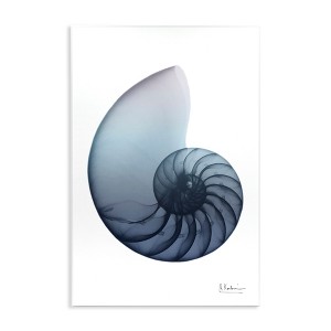 Stupell Industries Contemporary Nautilus Shell, 10" x 15" - 1 of 4