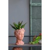 Gulches 28 Qt Brown Indoor Cement Antique-Inspired Head Bust Planter with Versatile Use Outdoor Compatibility (6 in L x 5 in W x 9 in H) 1-Pack - 2 of 4